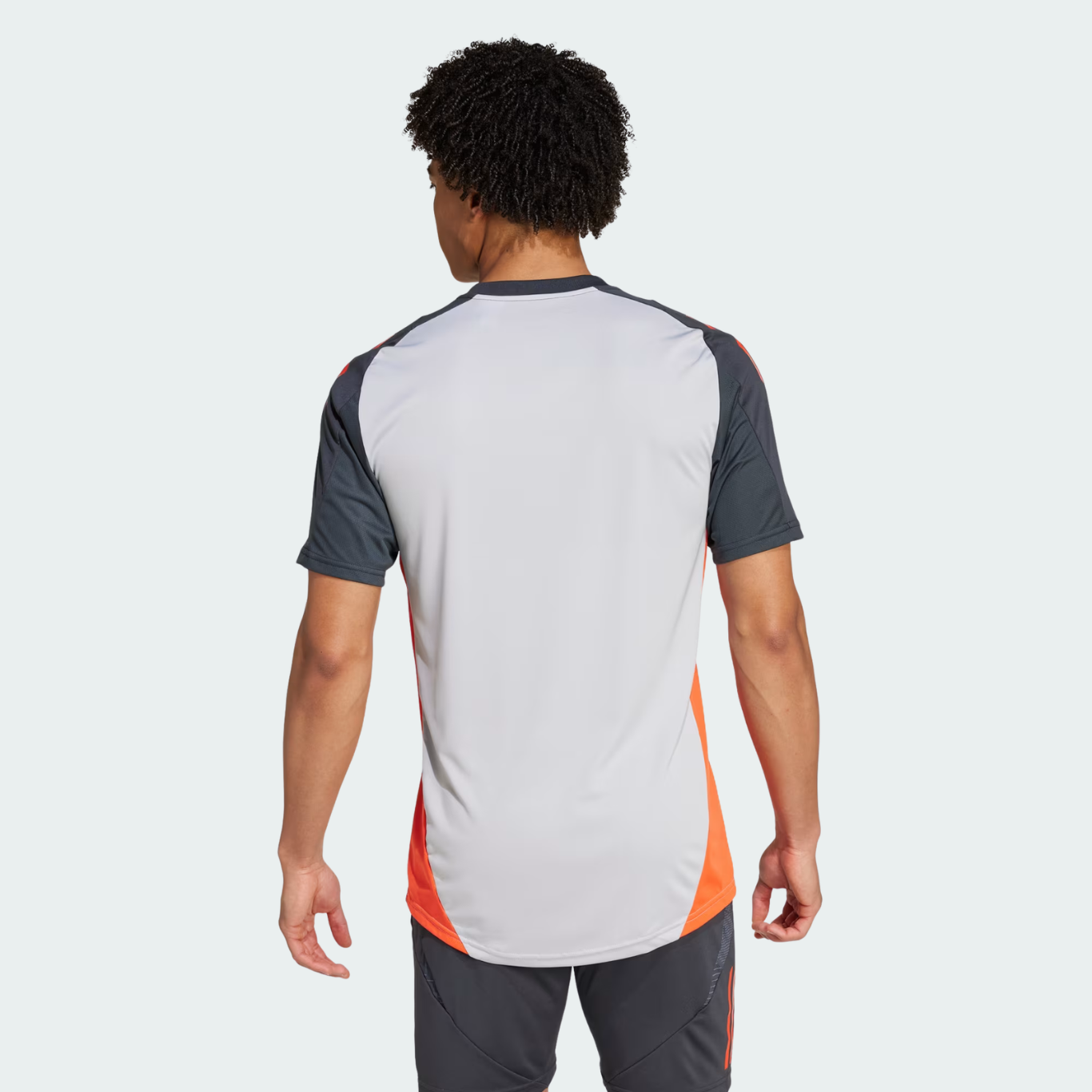 Camisola Benfica Treino Cinza - 2024/25