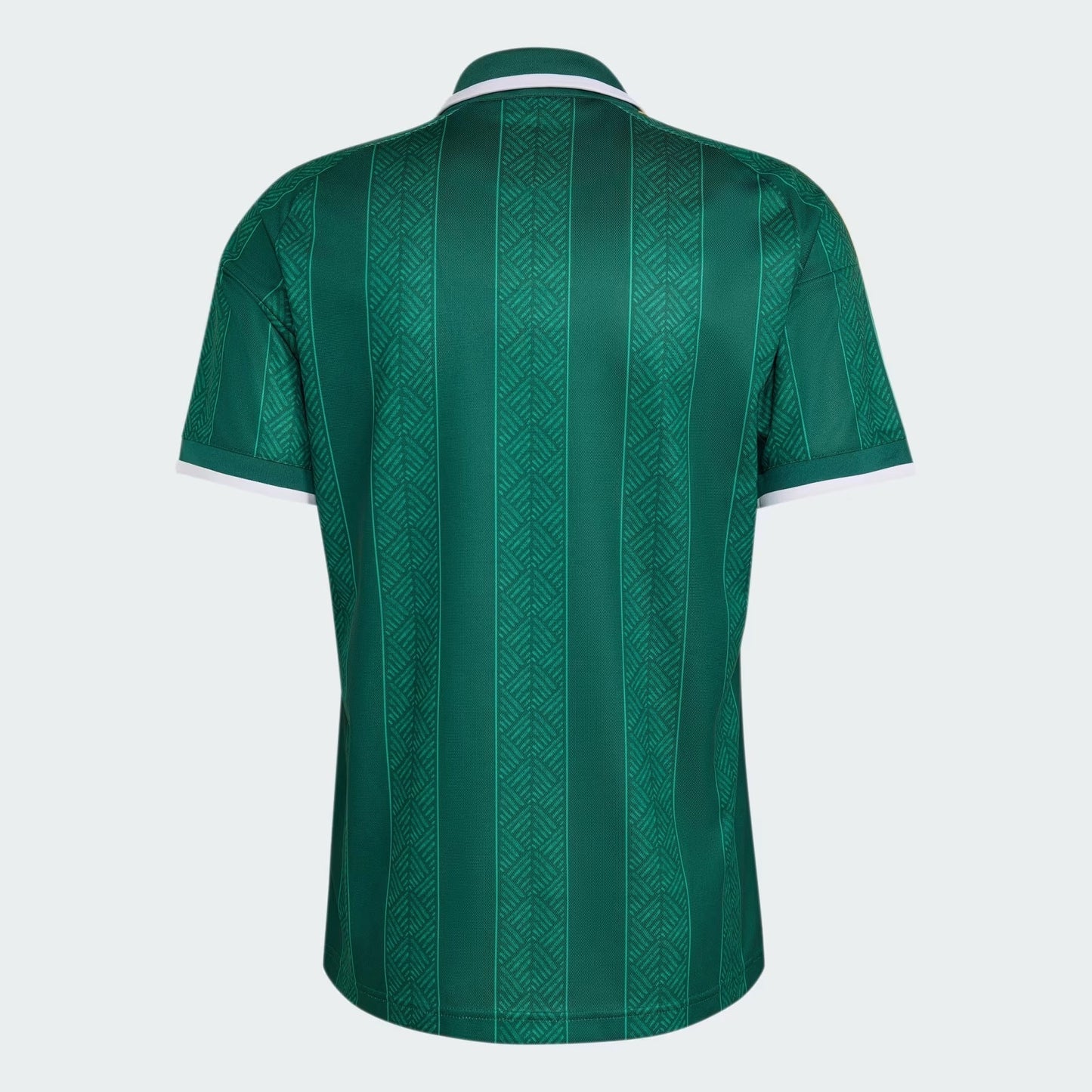 Camisola África do Sul 2026/27 I