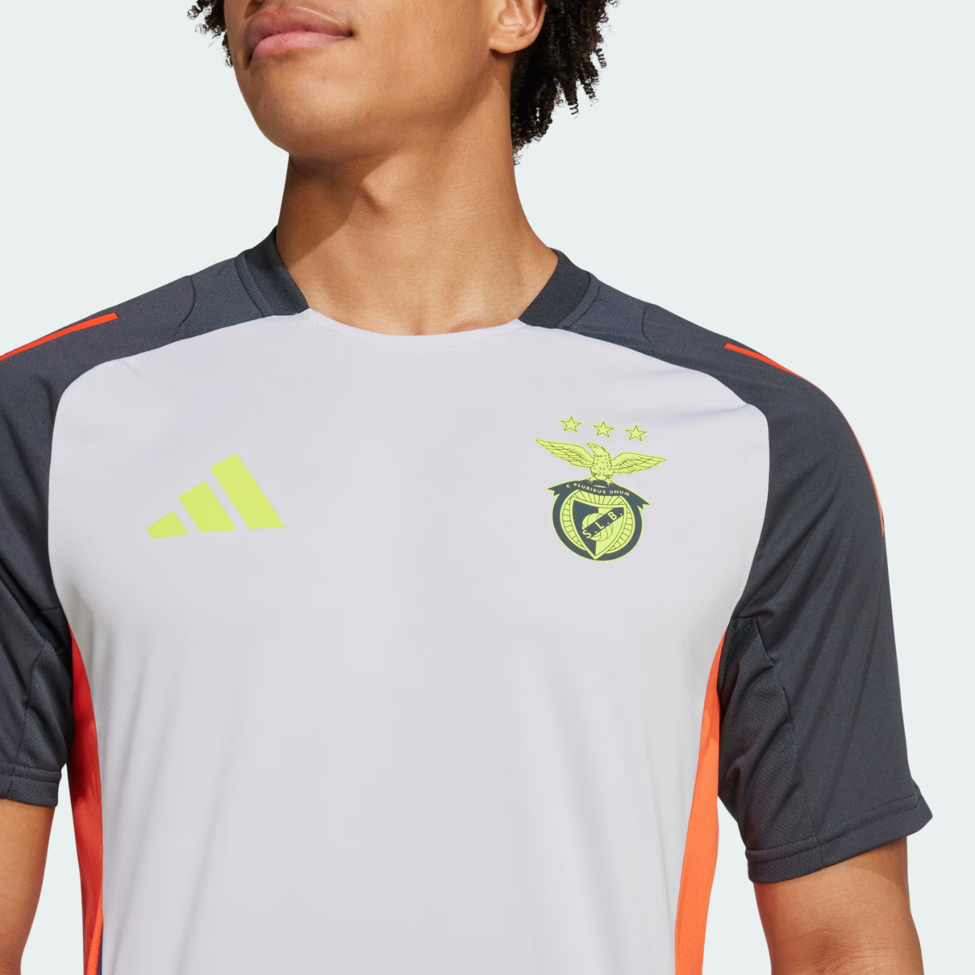 Camisola Benfica Treino Cinza - 2024/25