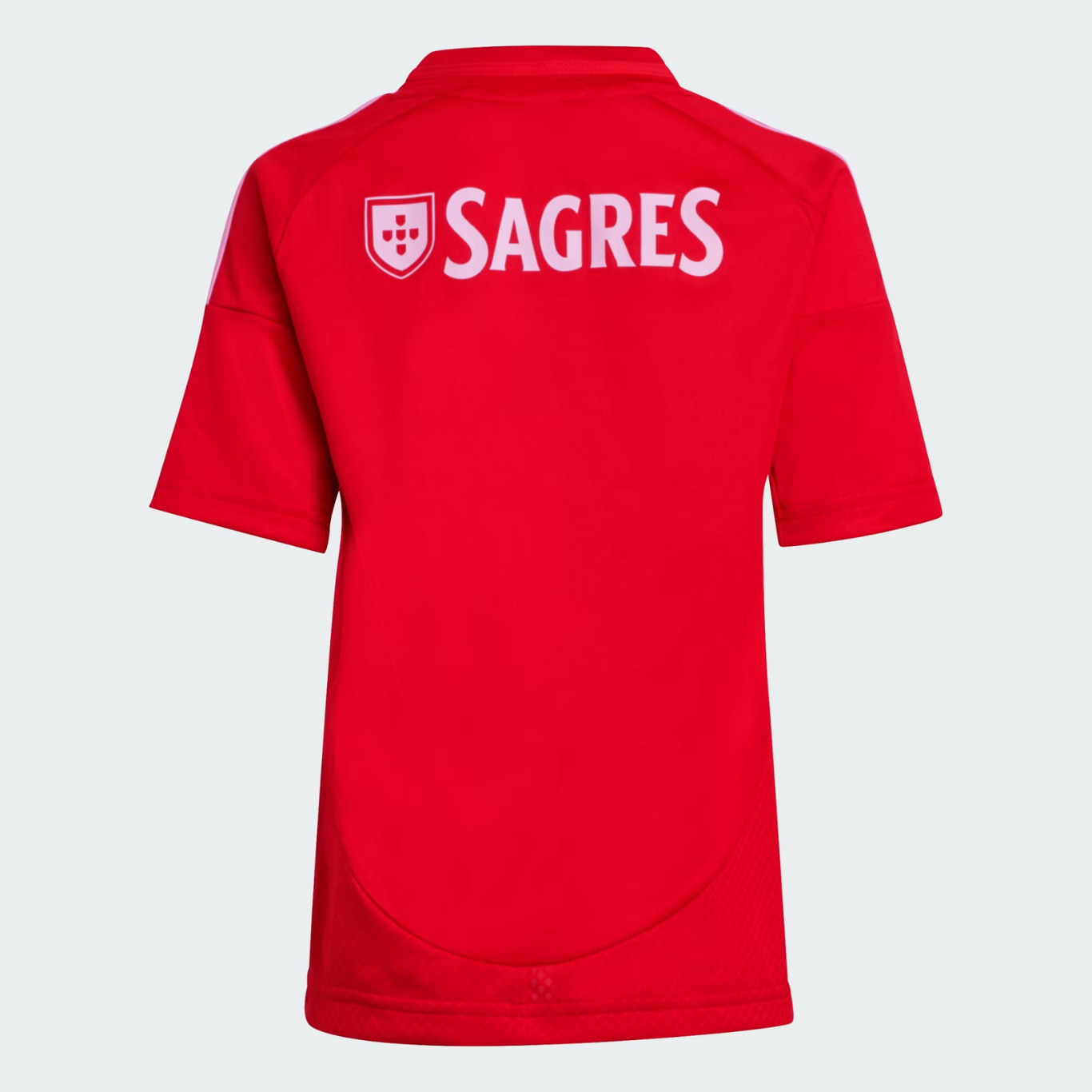 Conjunto Infantil Benfica Principal - 2024/25