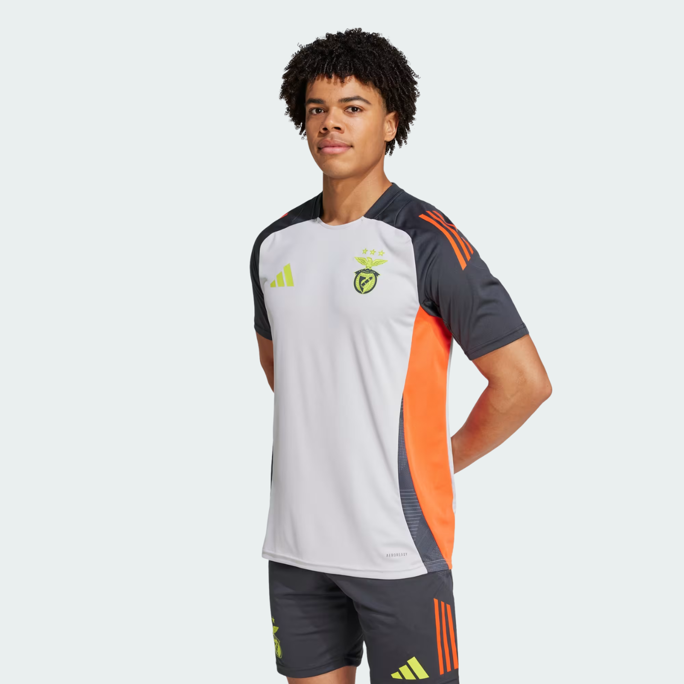 Camisola Benfica Treino Cinza - 2024/25