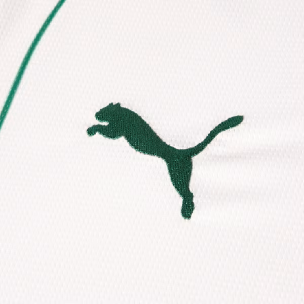 Camisola Palmeiras AWAY 2026 Torcedor Masculina
