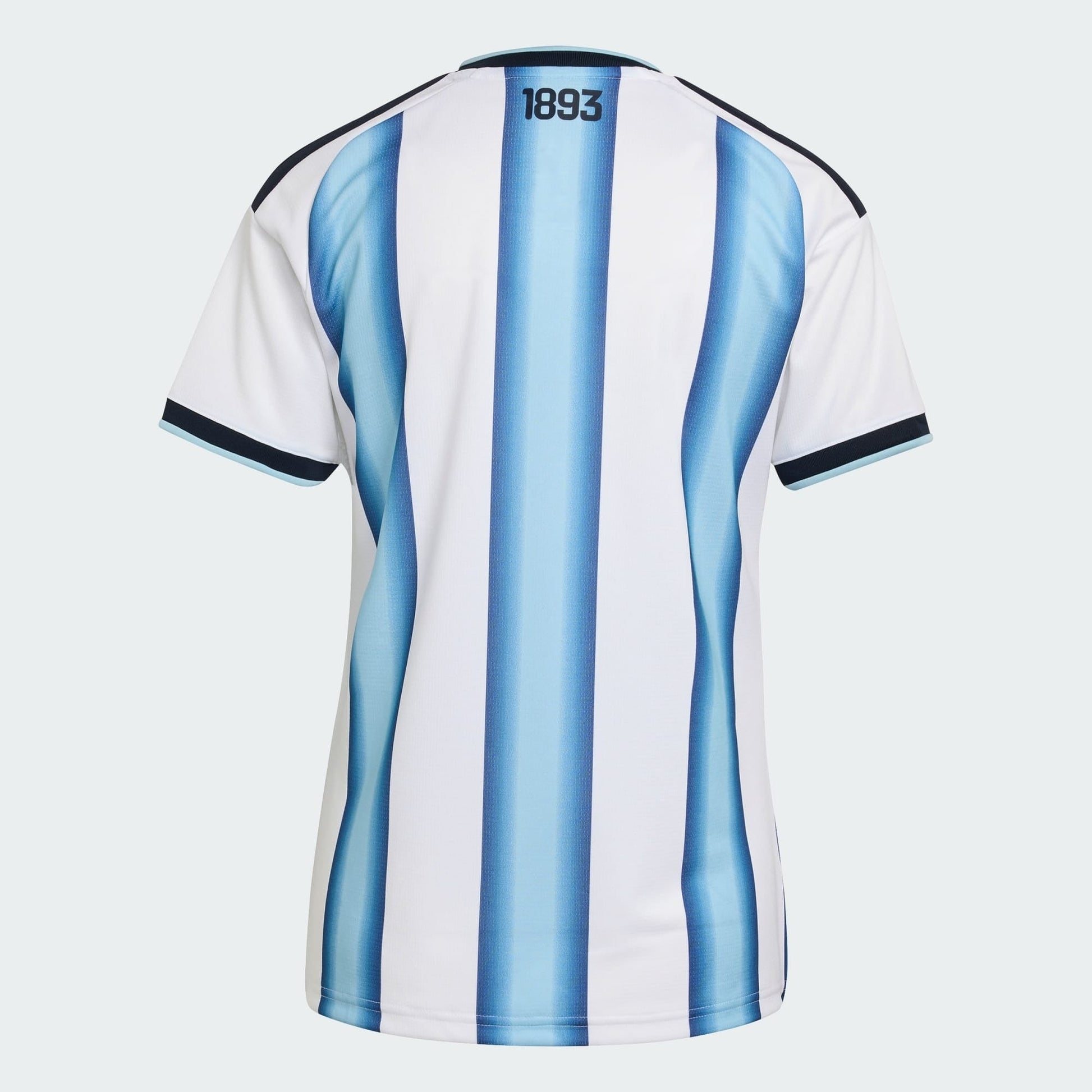 Camisola Feminina Argentina 2026/27 - Copa do Mundo - imagem 4
