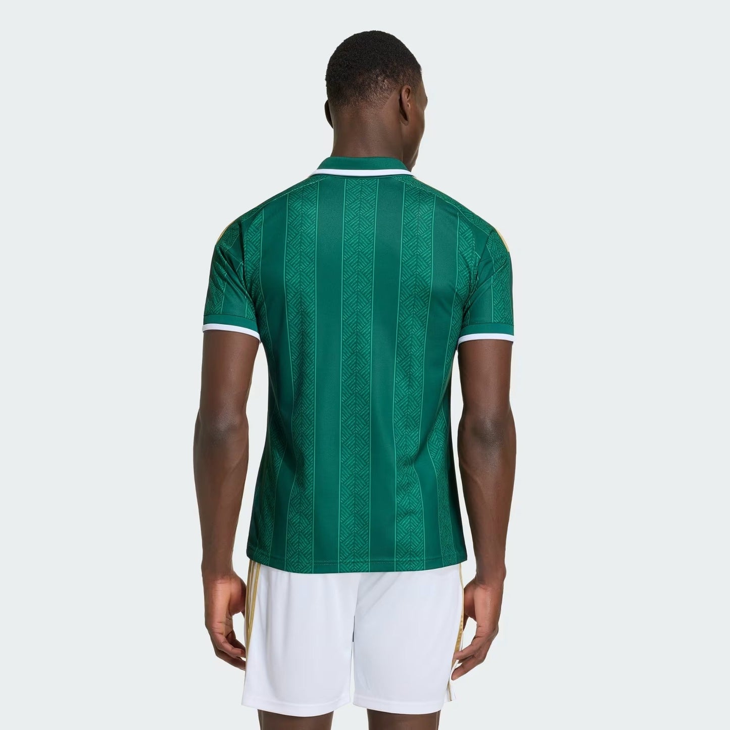 Camisola África do Sul 2026/27 I