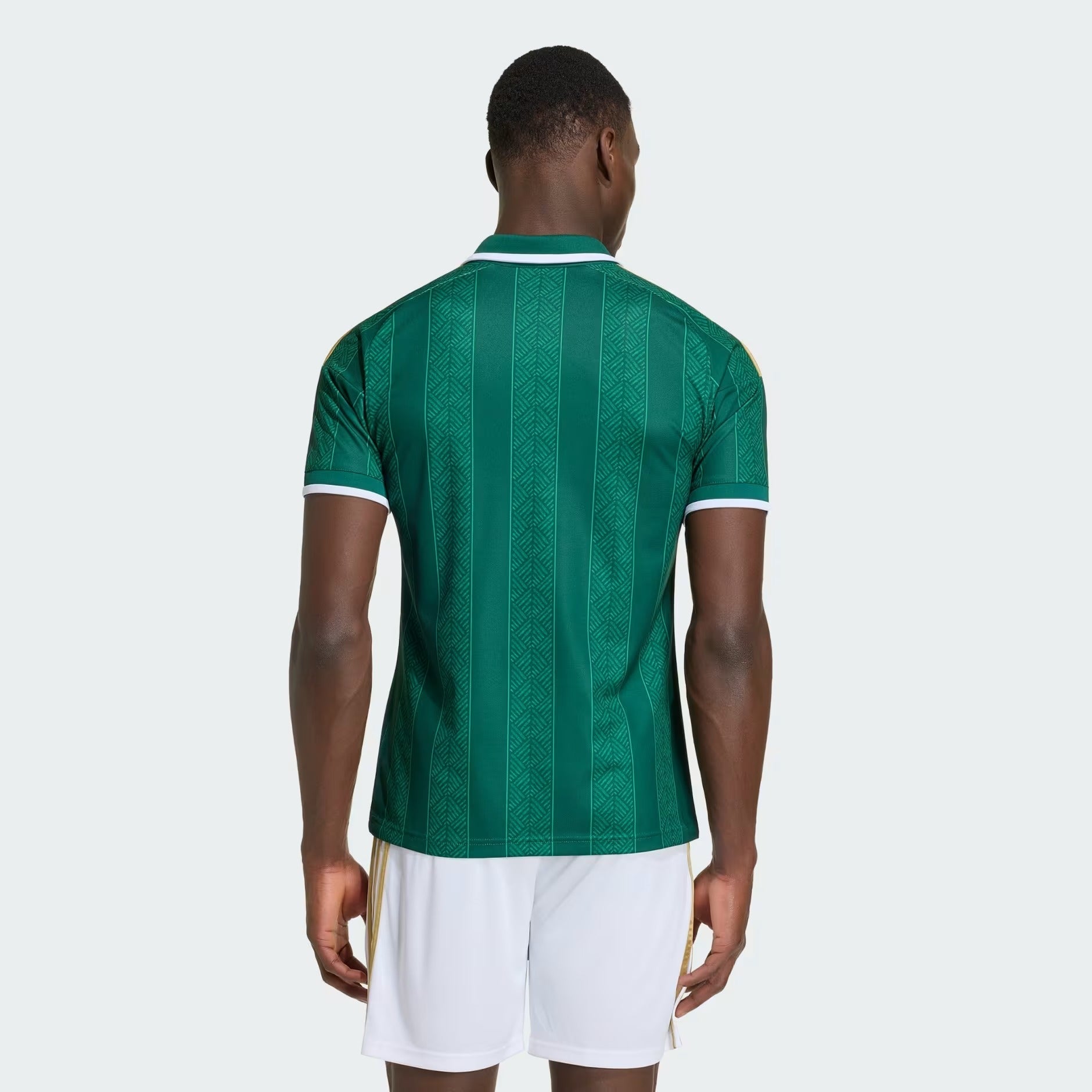 Camisola África do Sul 2026/27 I