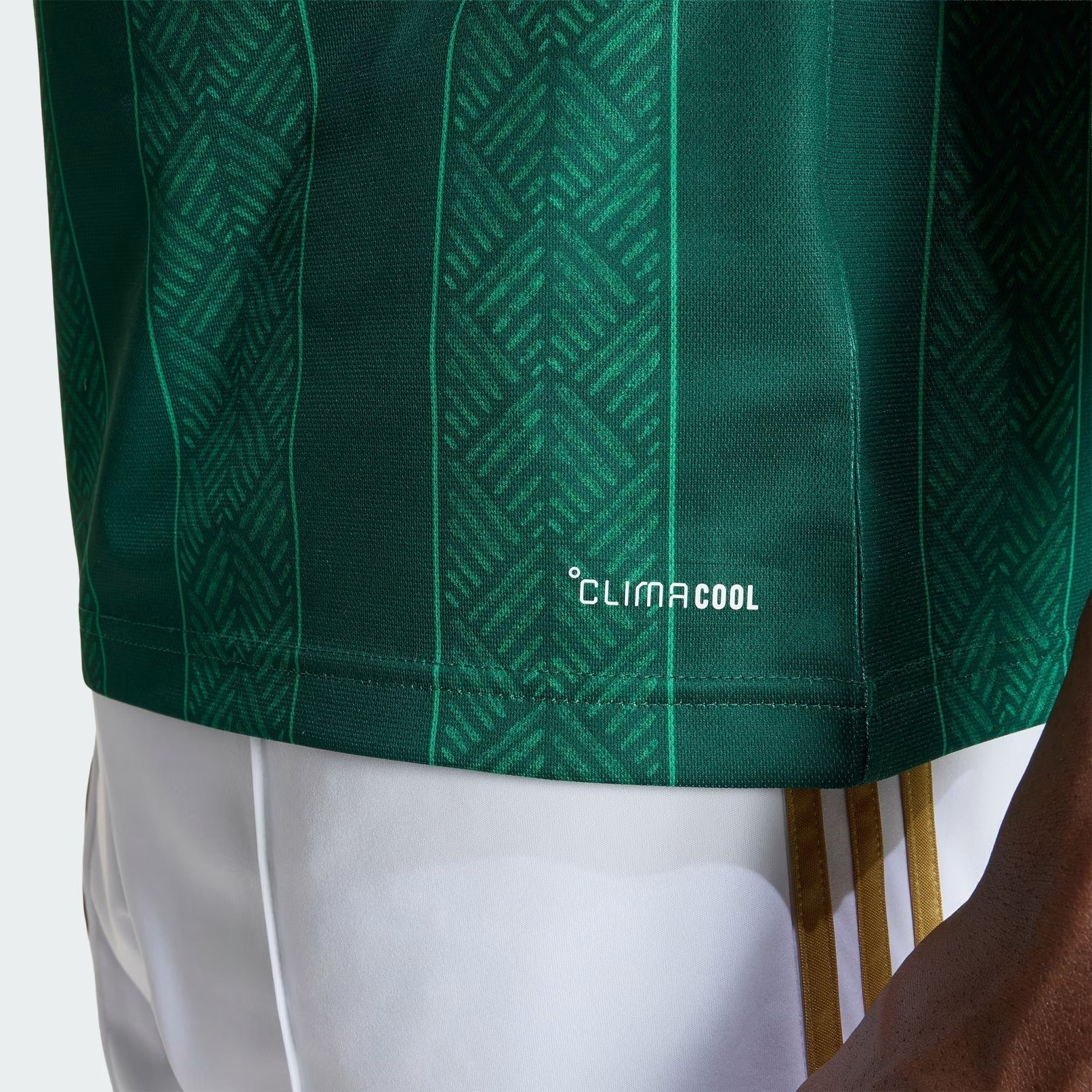 Camisola África do Sul 2026/27 I
