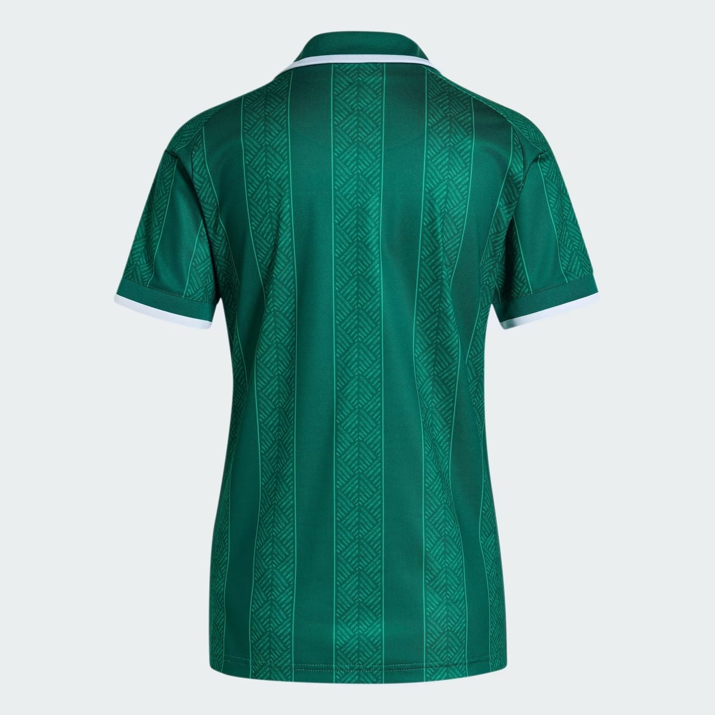 Camisola Feminina África do Sul 2026/27 I