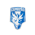 Badge Campeão 31